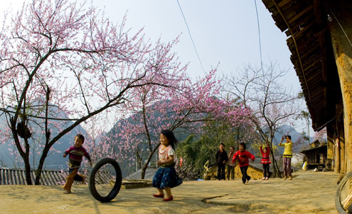 Fin de la floraison des pêchers dans la région montagneuse